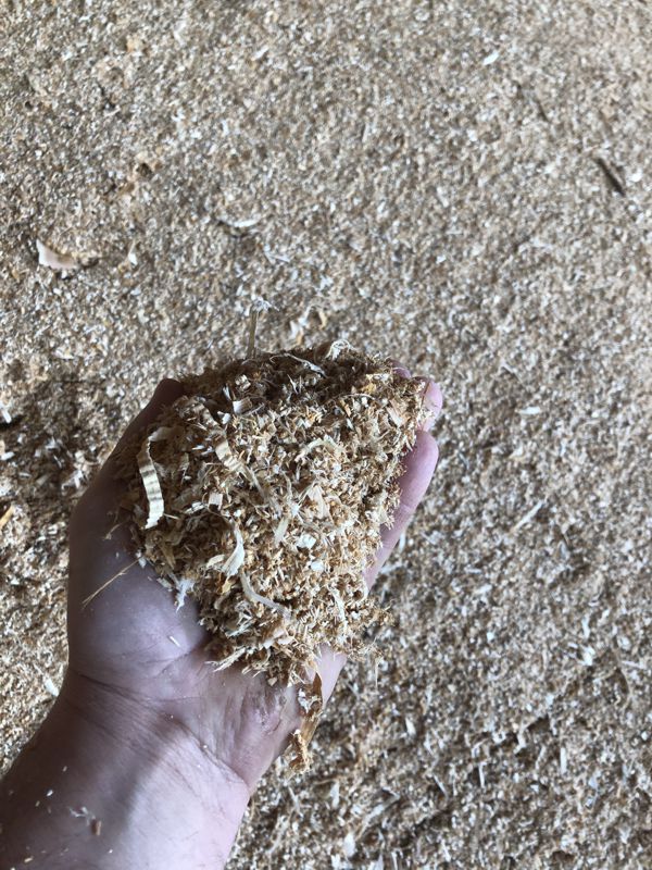 Sawdust